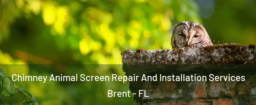  Chimney Animal Screen Repair And Installation Services Brent - FL