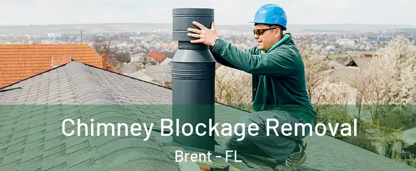  Chimney Blockage Removal Brent - FL