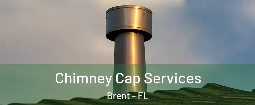  Chimney Cap Services Brent - FL