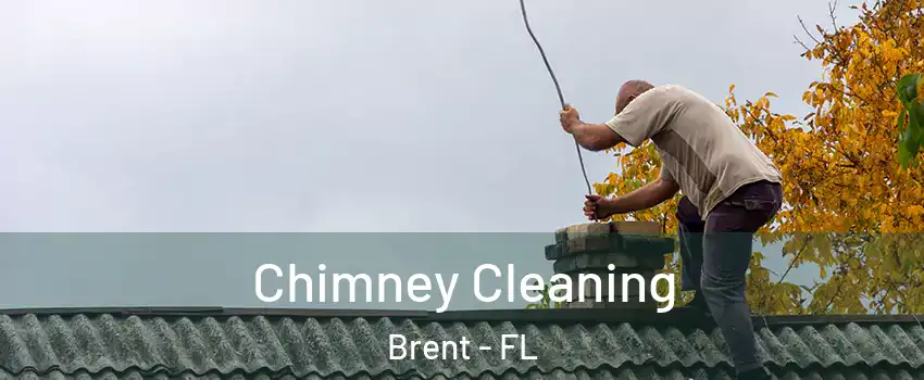  Chimney Cleaning Brent - FL