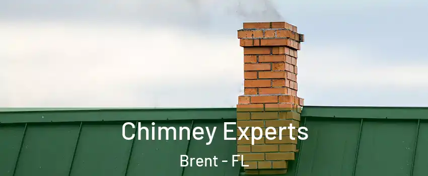  Chimney Experts Brent - FL