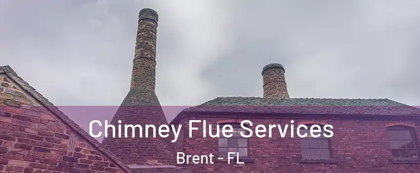  Chimney Flue Services Brent - FL