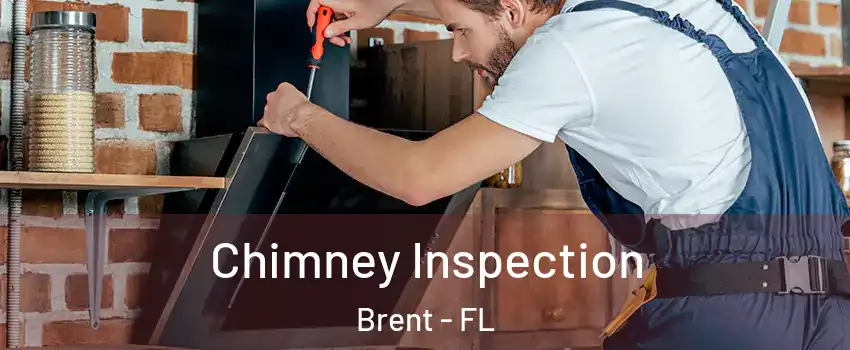  Chimney Inspection Brent - FL