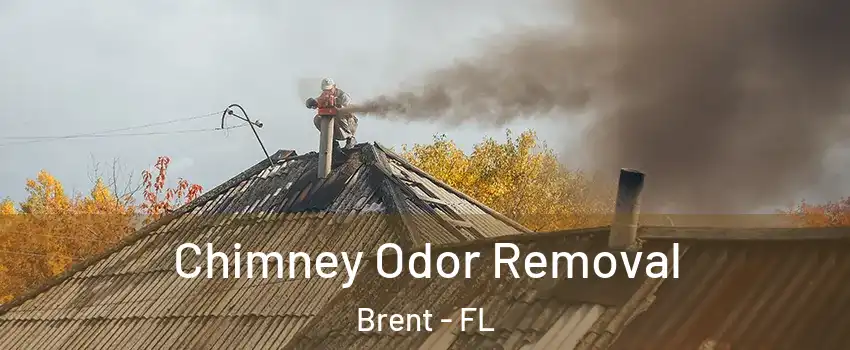  Chimney Odor Removal Brent - FL