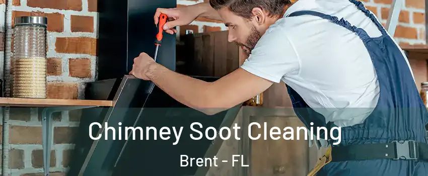  Chimney Soot Cleaning Brent - FL