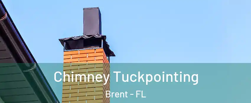  Chimney Tuckpointing Brent - FL
