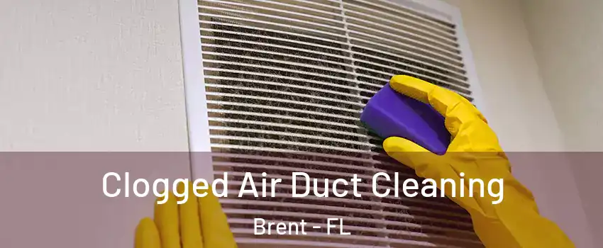  Clogged Air Duct Cleaning Brent - FL