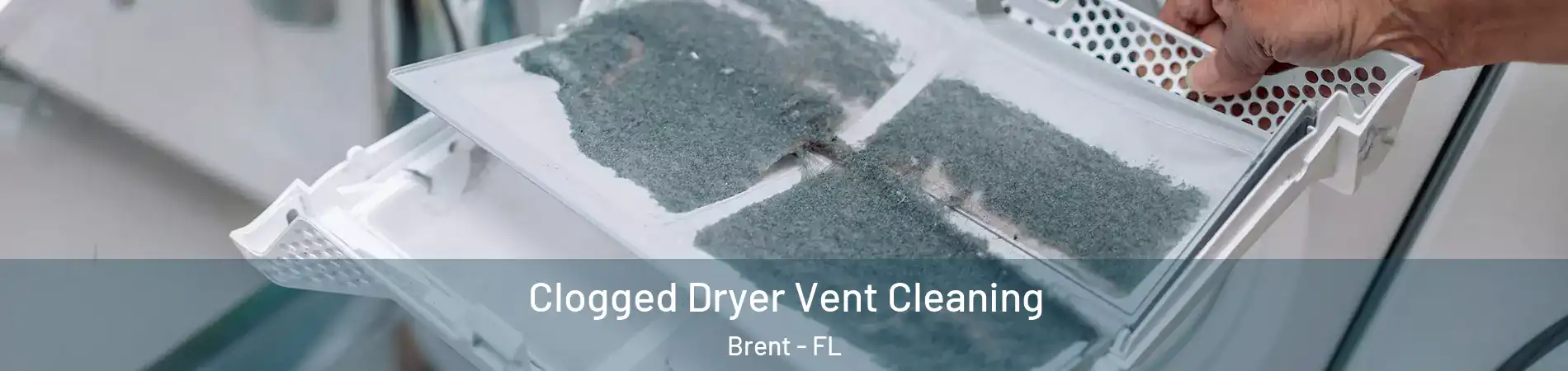  Clogged Dryer Vent Cleaning Brent - FL