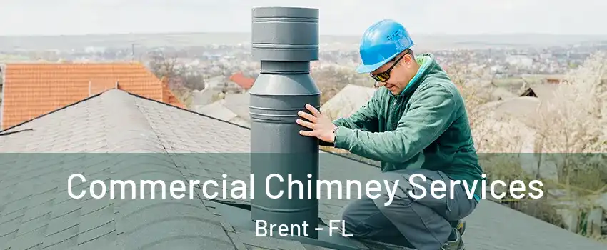  Commercial Chimney Services Brent - FL