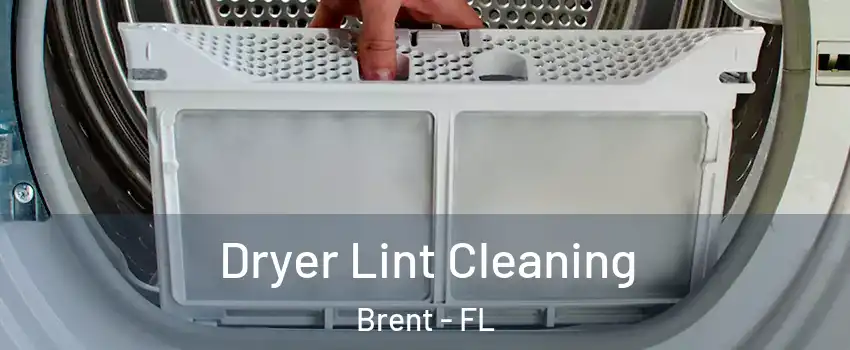  Dryer Lint Cleaning Brent - FL