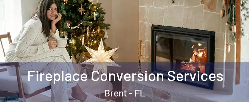  Fireplace Conversion Services Brent - FL
