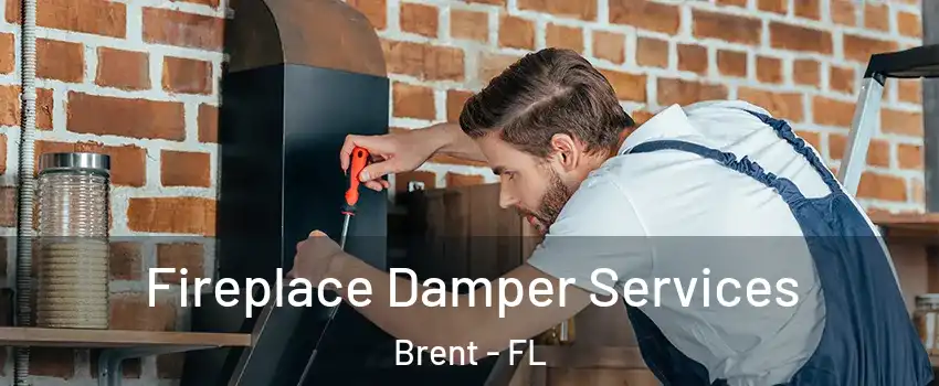  Fireplace Damper Services Brent - FL