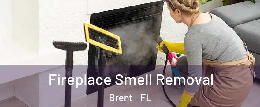  Fireplace Smell Removal Brent - FL