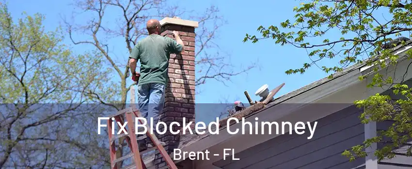  Fix Blocked Chimney Brent - FL