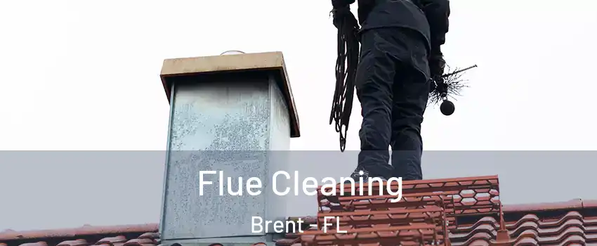  Flue Cleaning Brent - FL