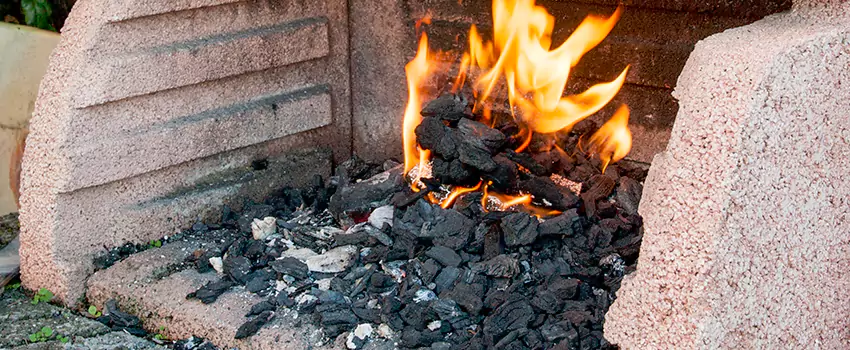 Remove Creosote From Brick in Brent, FL