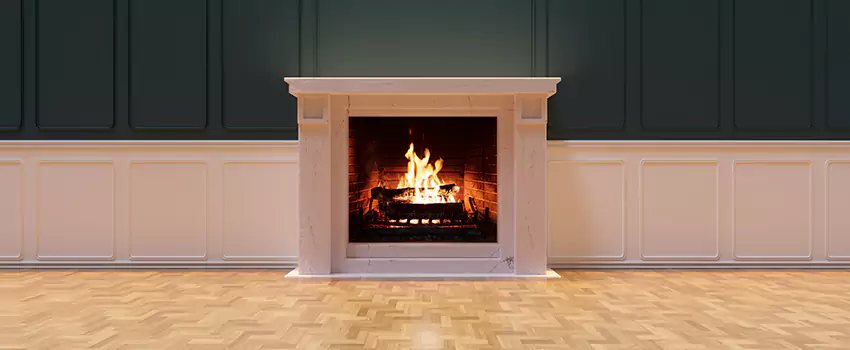 Napoleon Electric Fireplaces Inspection Service in Brent, Florida