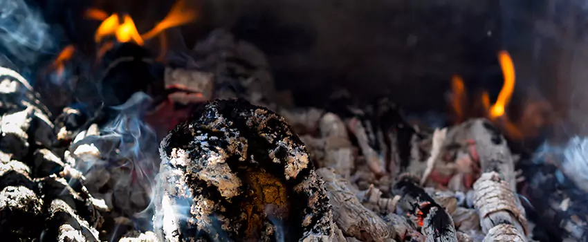 Creosote Removal Experts in Brent, FL