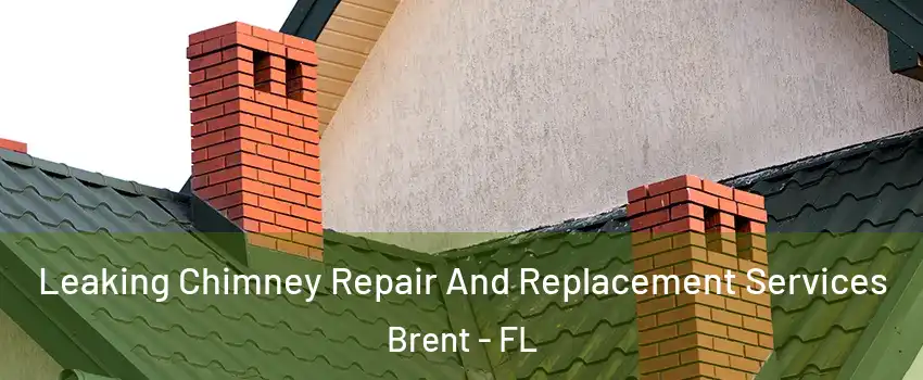  Leaking Chimney Repair And Replacement Services Brent - FL