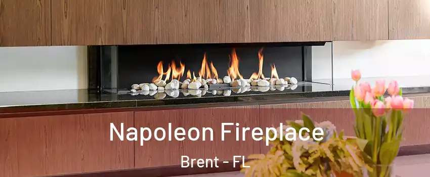  Napoleon Fireplace Brent - FL